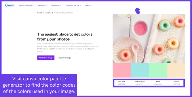 How do I find the color code of an image in Canva